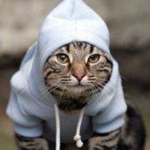 Meet your Posher, Nathen